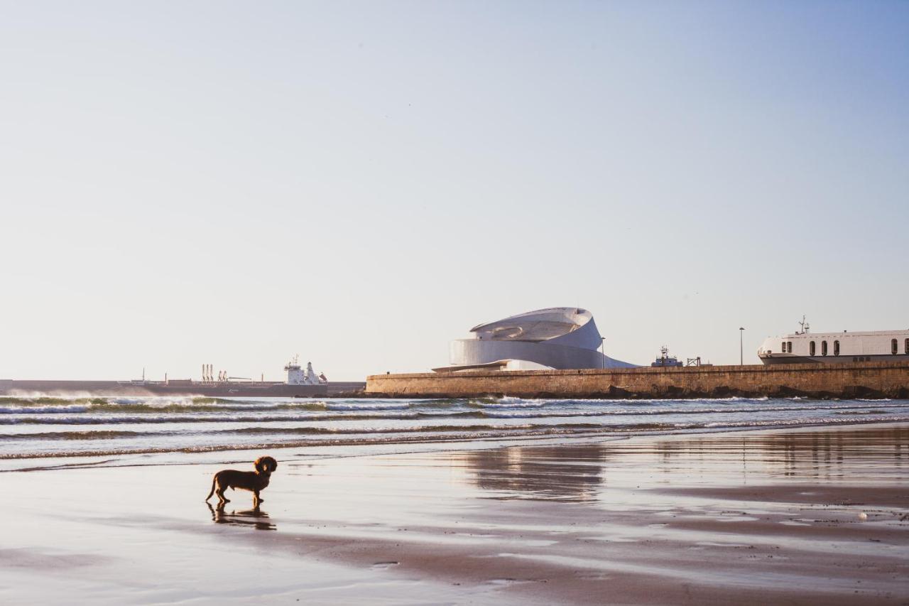 Apartament Oceanside Matosinhos - Ecohost Zewnętrze zdjęcie